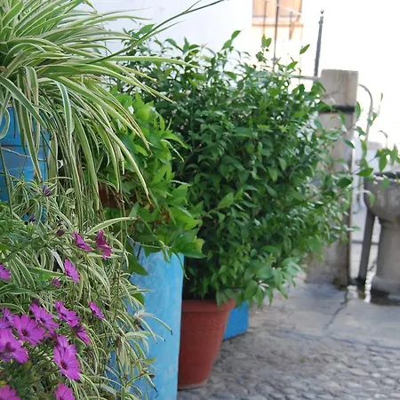 Apartamento Casa Canava