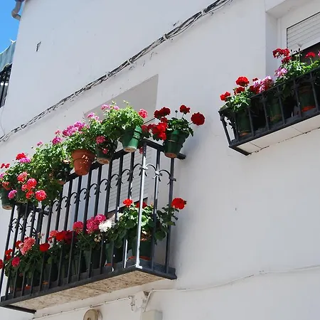 Apartamento Casa Canava Jimena